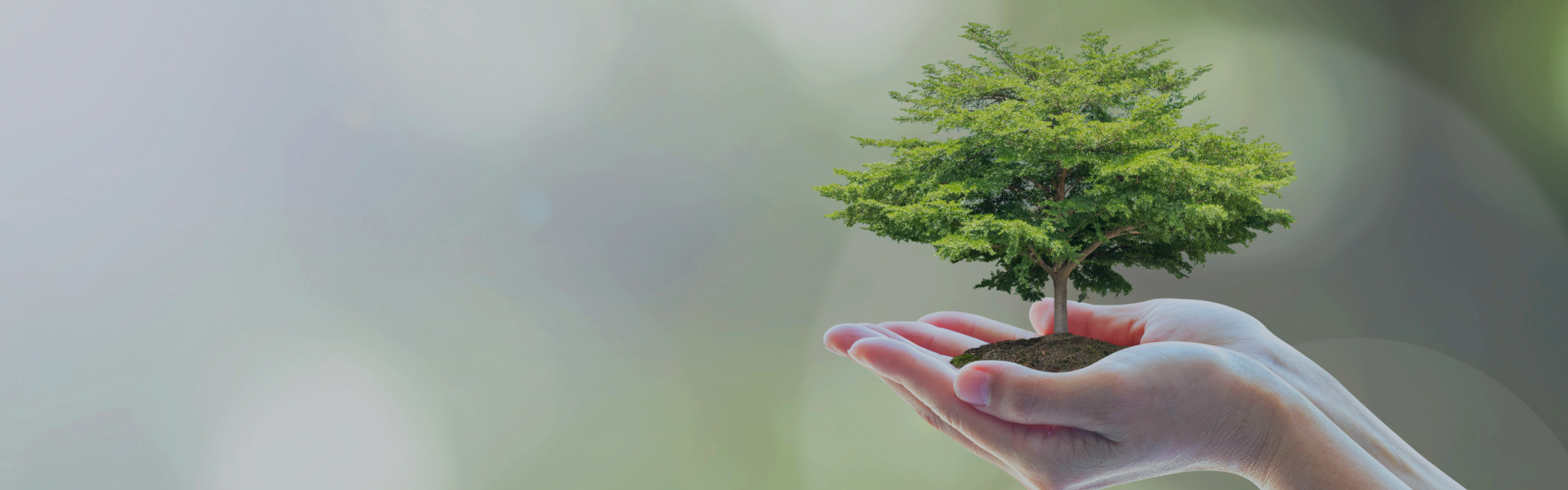 社會(huì)責(zé)任